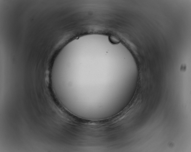 X0000101390067200807071015