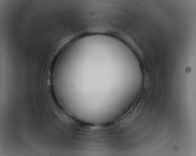 X0000101390068200807071015