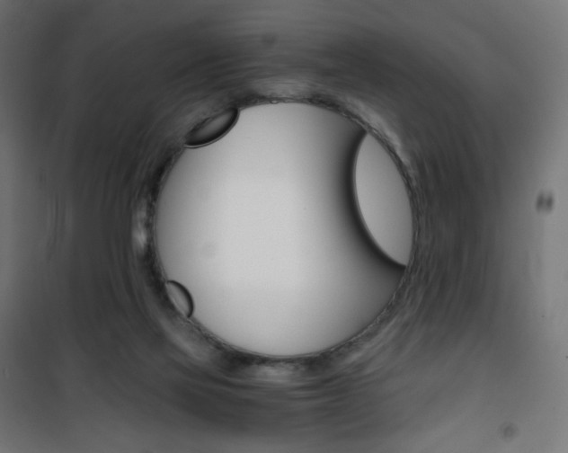 X0000101390069200807071015