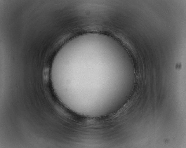 X0000101390070200807071015