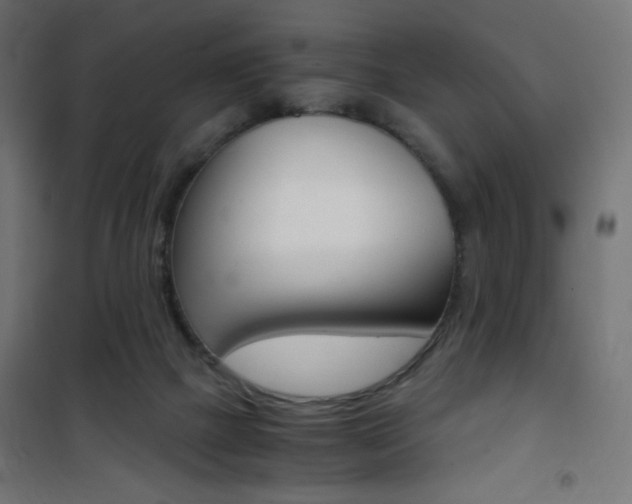 X0000101390073200807071015