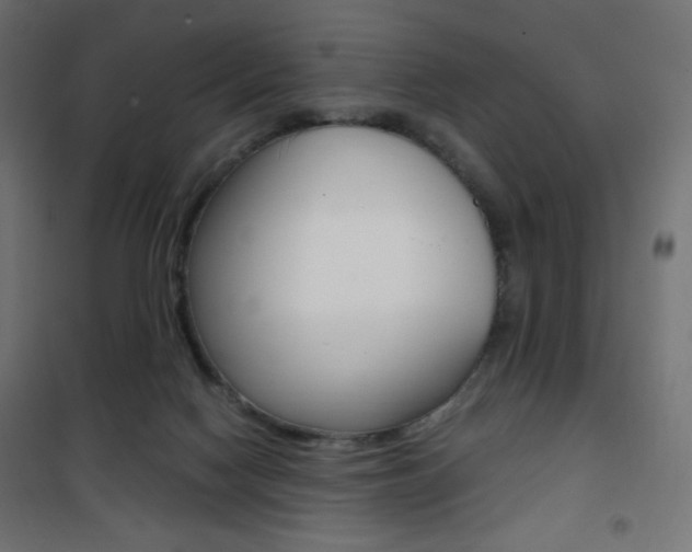 X0000101390074200807071015