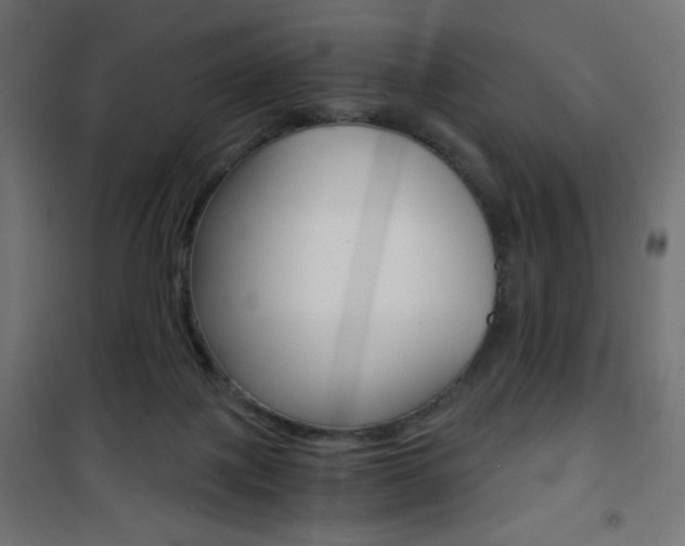 X0000101390075200807071015