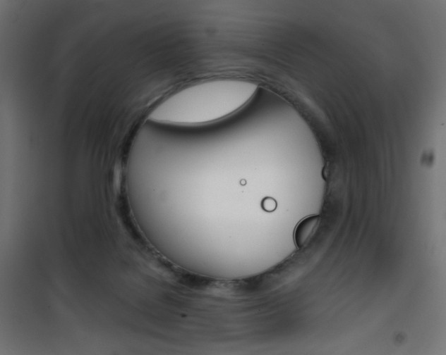 X0000101390076200807071015
