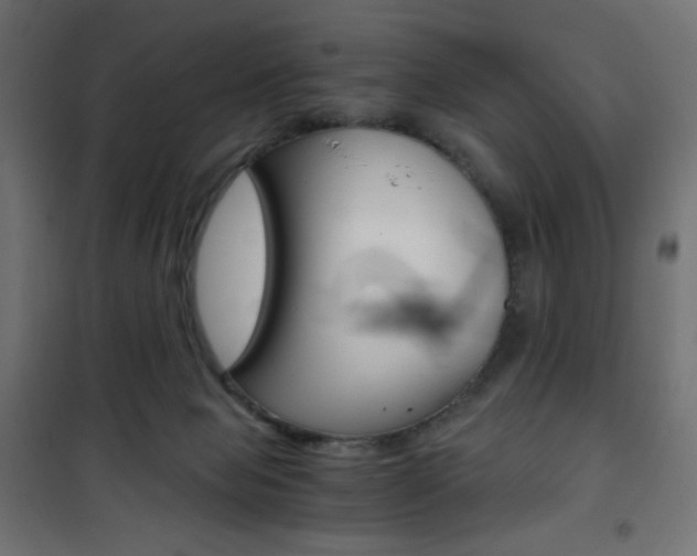 X0000101390077200807071015