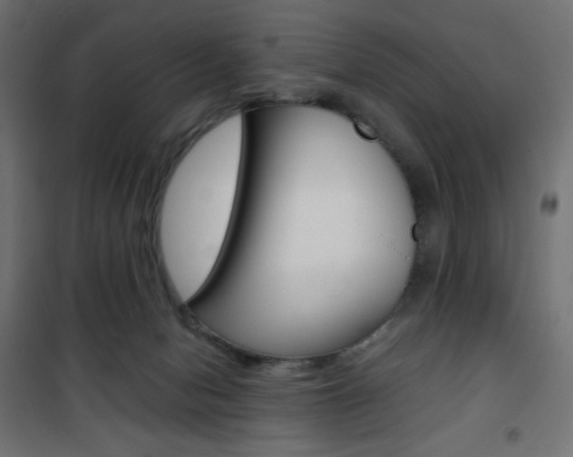 X0000101390078200807071015
