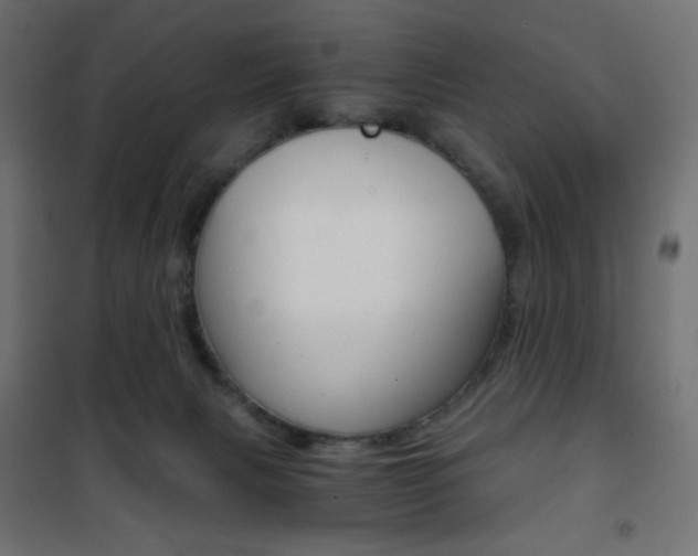X0000101390079200807071016