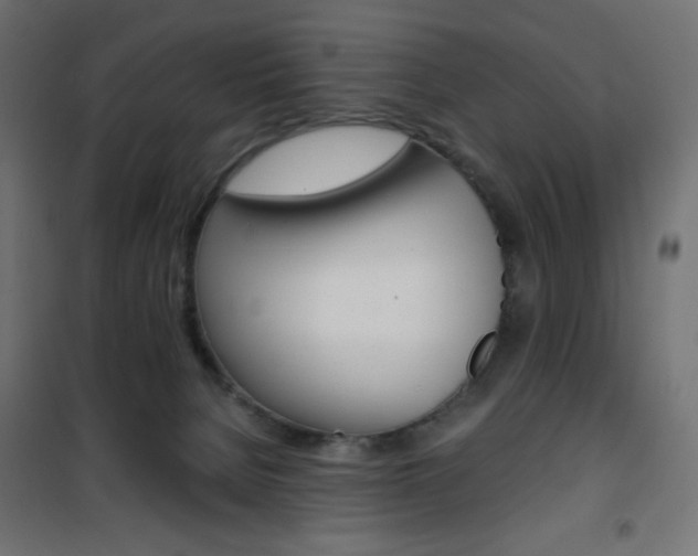 X0000101390080200807071016