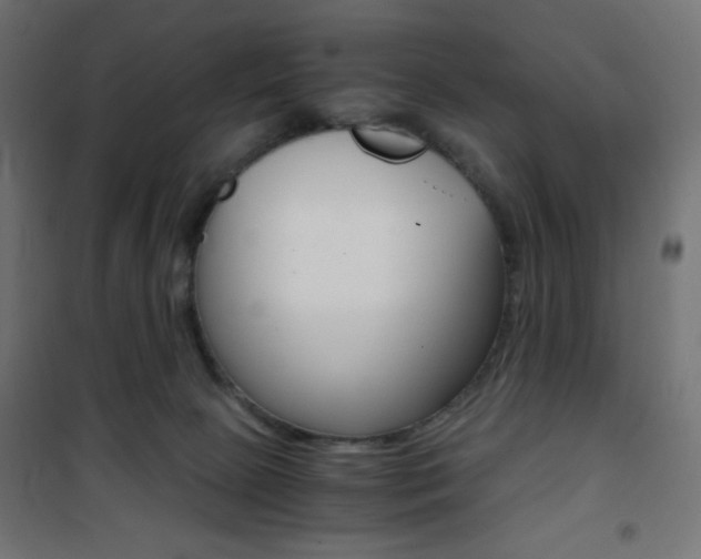 X0000101390081200807071016