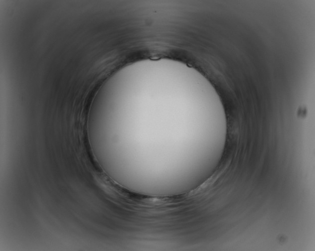 X0000101390082200807071016