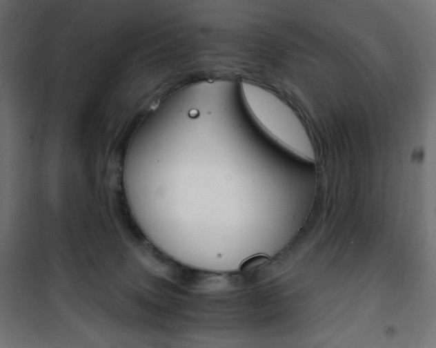 X0000101390083200807071016