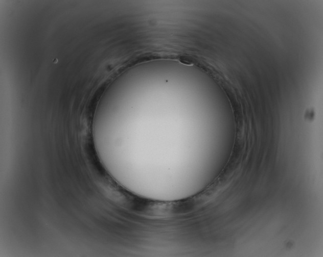X0000101390084200807071016
