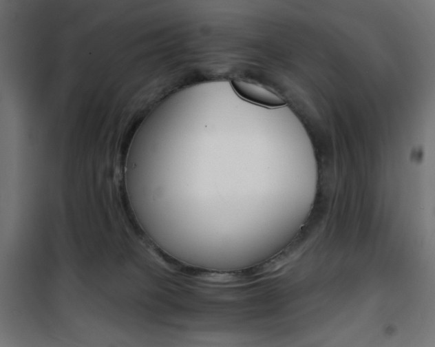 X0000101390085200807071016