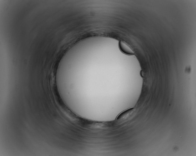 X0000101390086200807071016