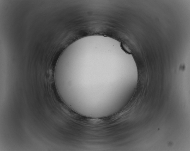 X0000101390087200807071016
