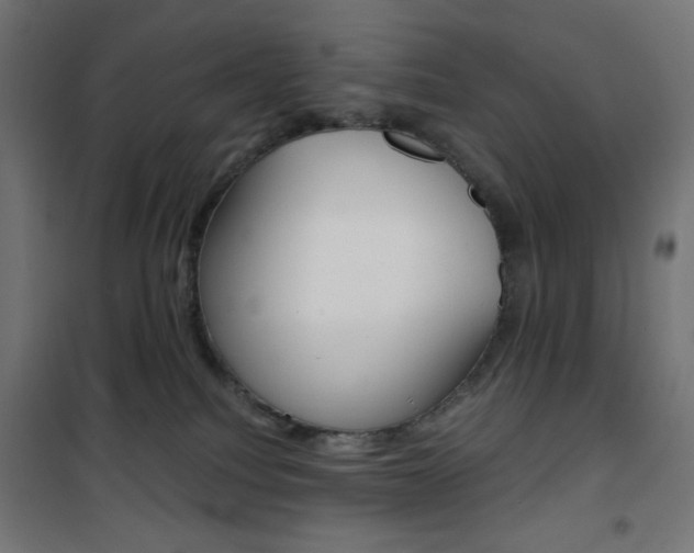 X0000101390088200807071016