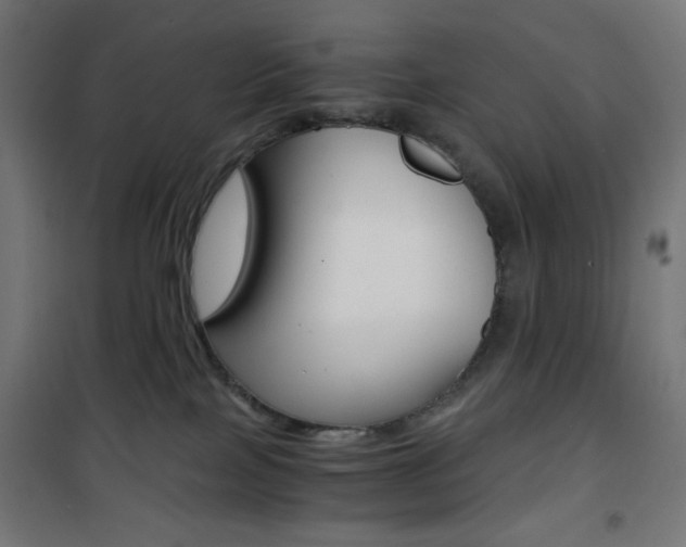 X0000101390089200807071016