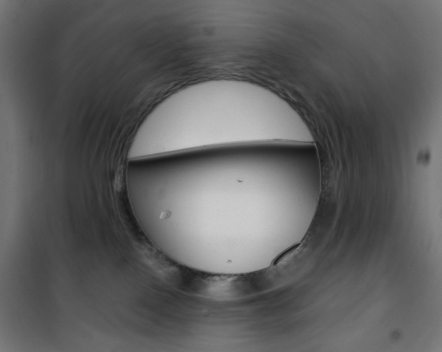 X0000101390090200807071016