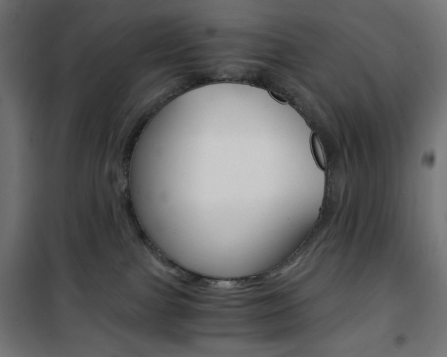 X0000101390091200807071016
