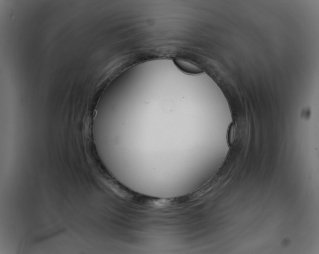 X0000101390092200807071016