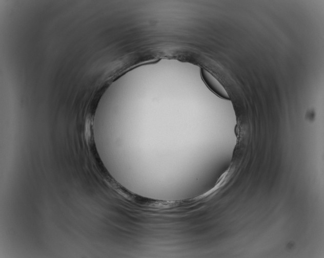 X0000101390094200807071016