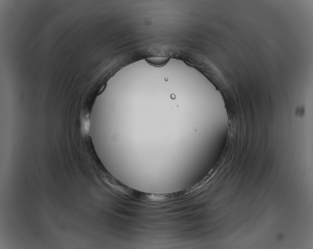 X0000101390095200807071016