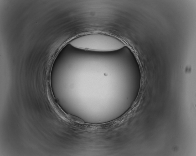 X0000101390097200807071015