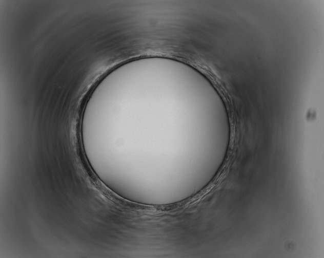 X0000101390098200807071015
