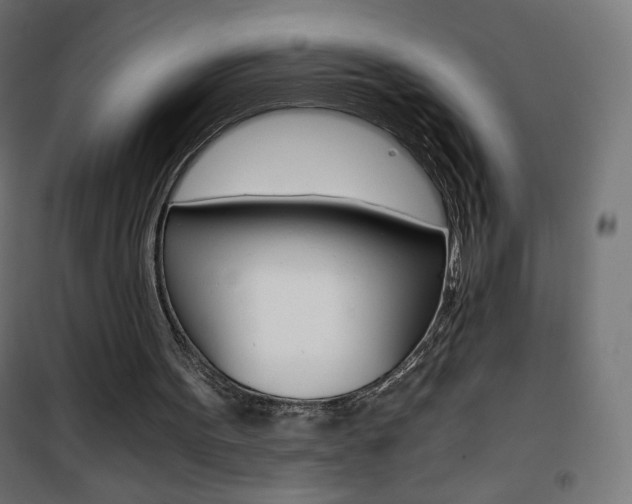 X0000101390099200807071015