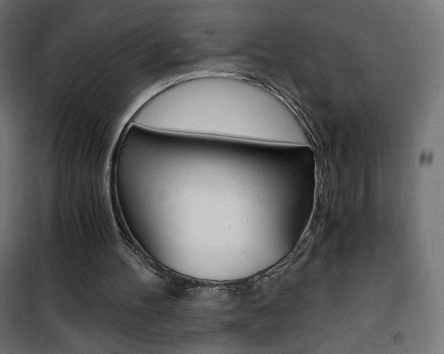 X0000101390100200807071015