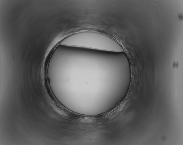X0000101390102200807071015