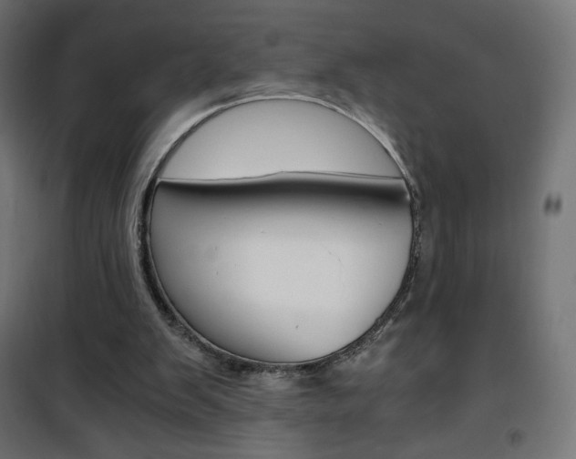X0000101390103200807071015