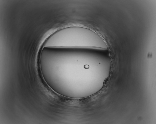 X0000101390104200807071015