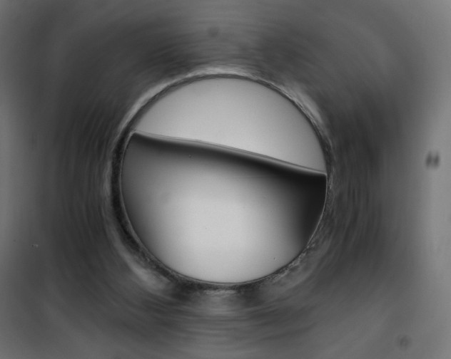 X0000101390108200807071015