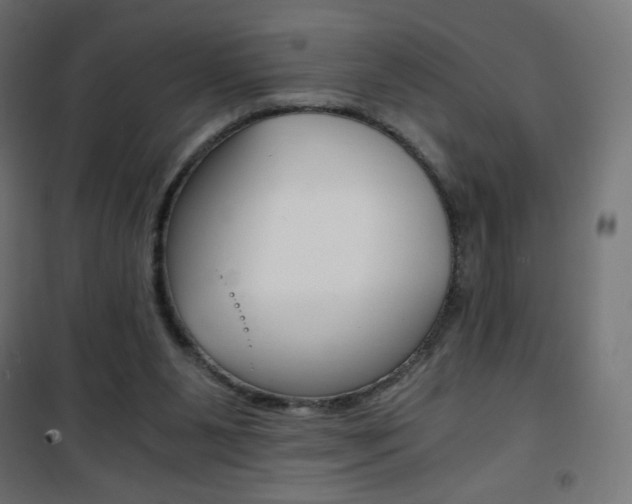 X0000101390111200807071015