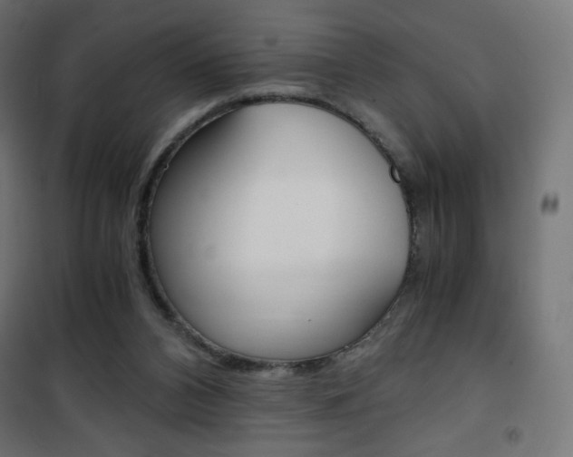 X0000101390112200807071015