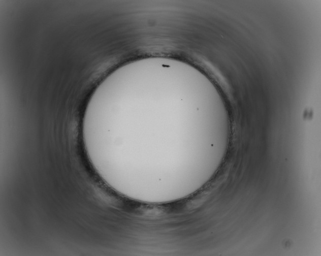 X0000101390113200807071015