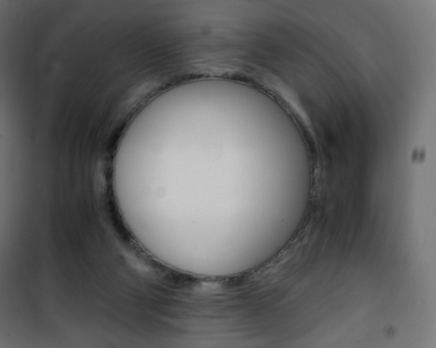 X0000101390114200807071015