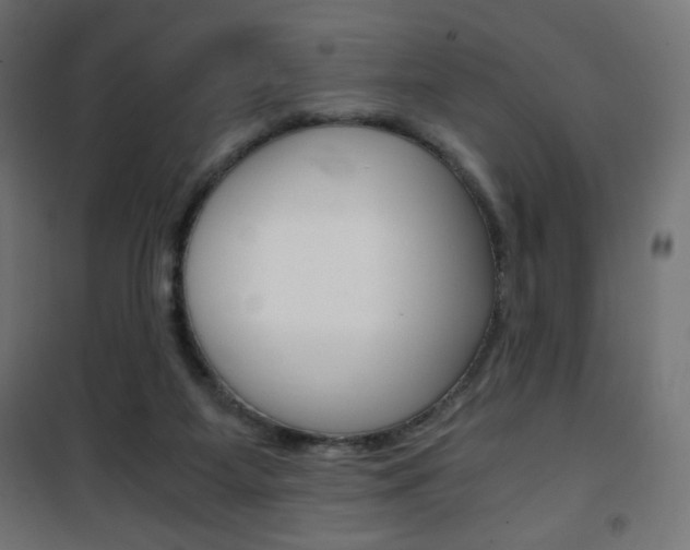 X0000101390115200807071015