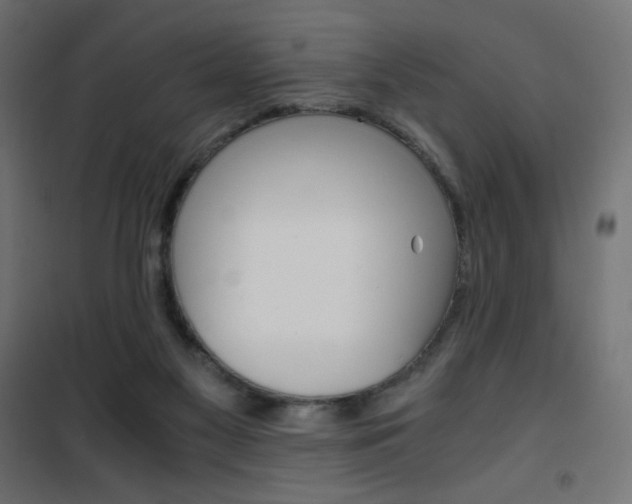 X0000101390117200807071015