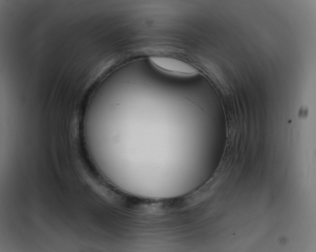 X0000101390120200807071014