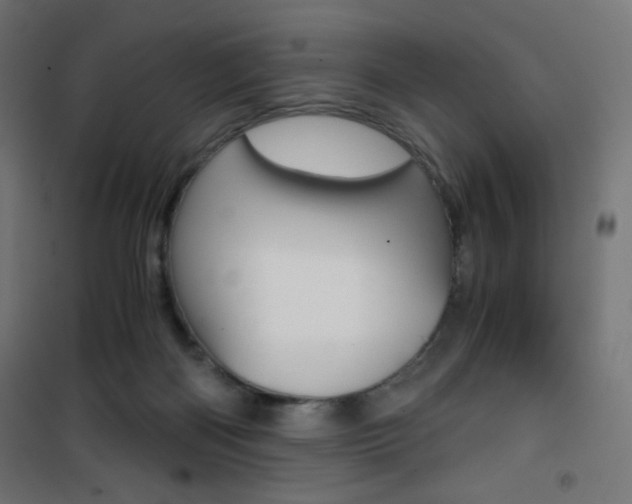 X0000101390122200807071014
