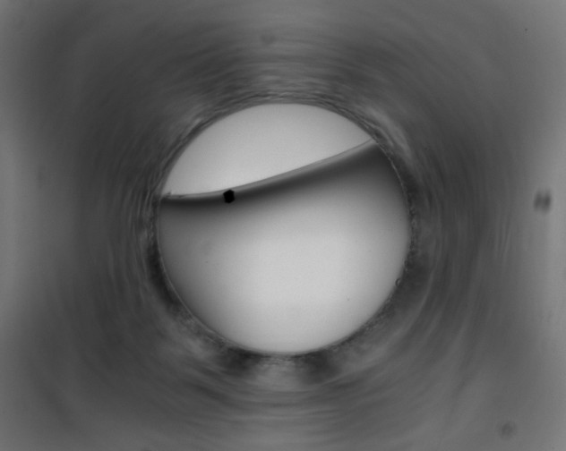 X0000101390123200807071014