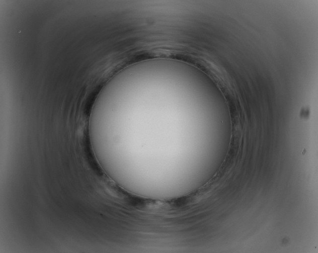 X0000101390125200807071014