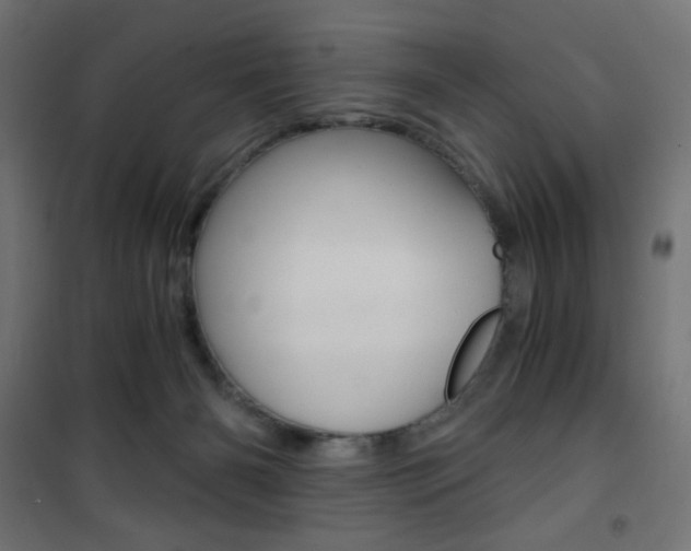 X0000101390126200807071014