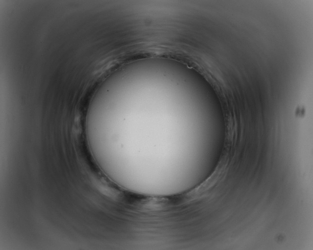 X0000101390128200807071014