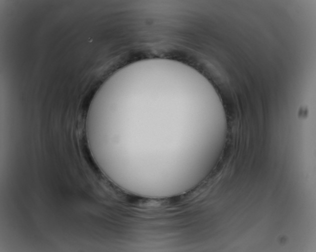 X0000101390129200807071014
