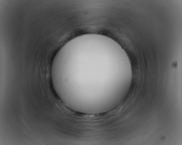 X0000101390131200807071014