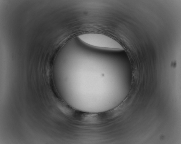 X0000101390132200807071014