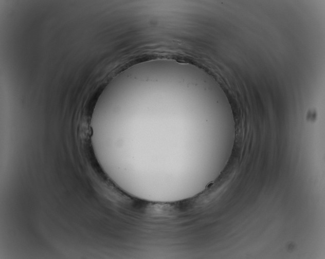 X0000101390137200807071014